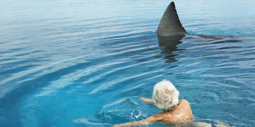 Senior man in swimming pool by model great white shark, rear view